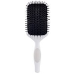 Paddle Brush