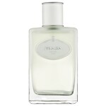 Infusion d'Iris Eau de Toilette