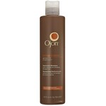 Damage Reverse™ Restorative Shampoo