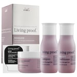 Restore Discovery Kit