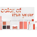 COLOR OF THE YEAR COLLECTOR'S EDITION SET