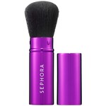 Retractable Brushes