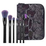 Color Fusion Brush Set