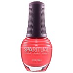 Nail Lacquer