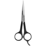 Hair Shears