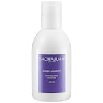 Silver Shampoo