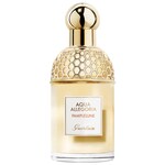 Aqua Allegoria Pamplelune
