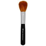 Tapered Blush Brush