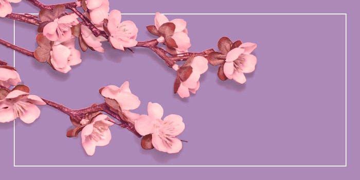 image de fleur de cerisier japonais