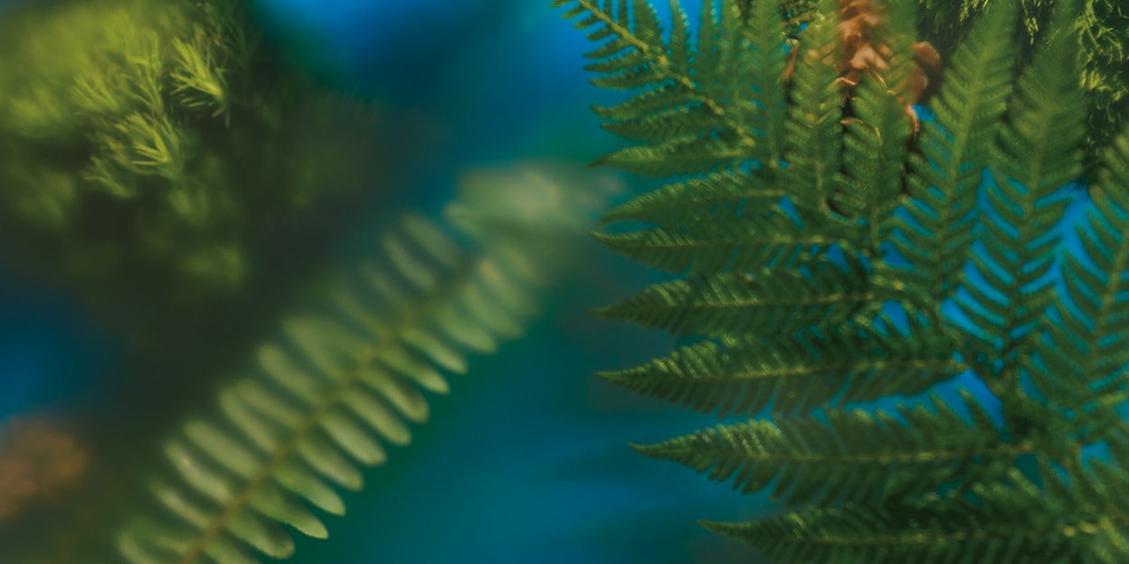 New Cologne For Men Sephora