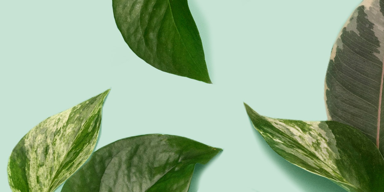 Clean & Clinical Skincare Sephora