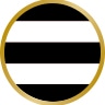 stripe icon