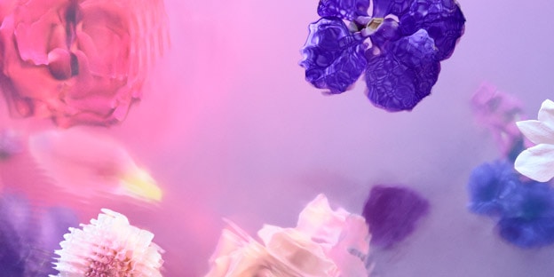Soft-focus image of various flowers—including pink, purple, and white blooms—floating or scattered against a dreamy pink and lavender background, creating an abstract, ethereal effect.