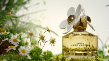 Jacobs Mini Perfume Kohl's Daisy Perfume Daisy Perfume Kohls