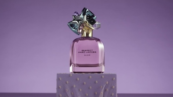 Perfect Elixir Eau de Parfum with Woody Amber & Vanilla - Marc