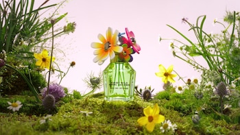 Daisy Wild Eau de Parfum Intense with Banana Blossom, Jasmine