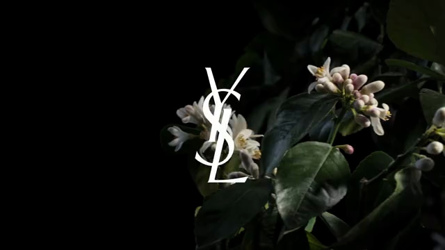 Saharienne Eau de Parfum with Neroli & Musk - Yves Saint Laurent
