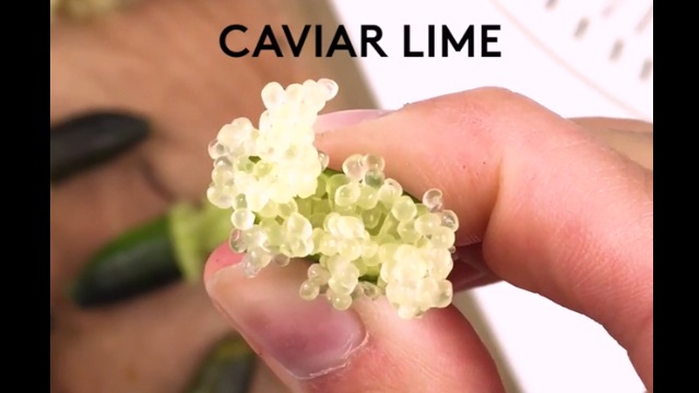 dr lancer caviar lime acid peel