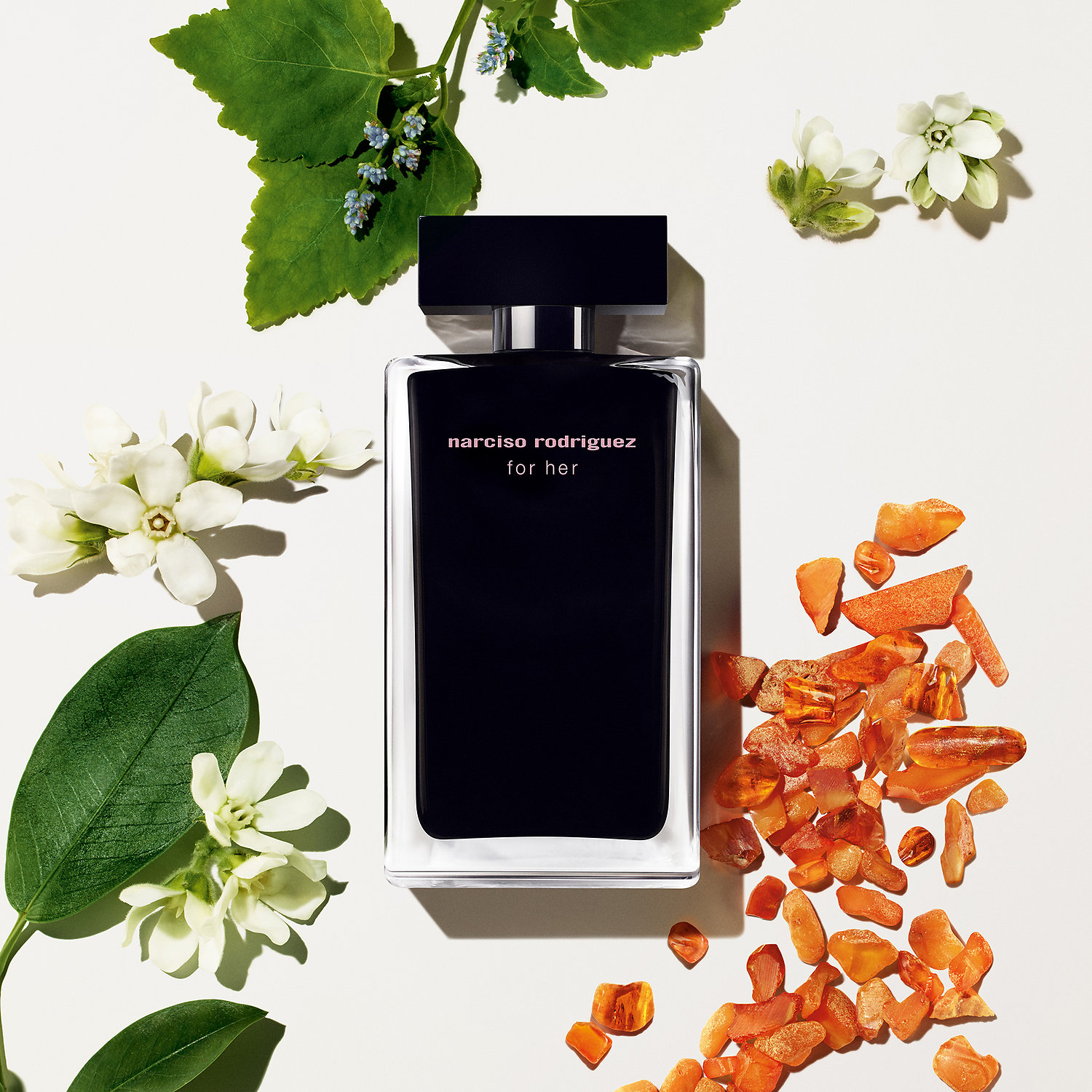 narciso rodriguez for her scent