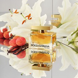 Dolce & gabbana the one sephora Clearance