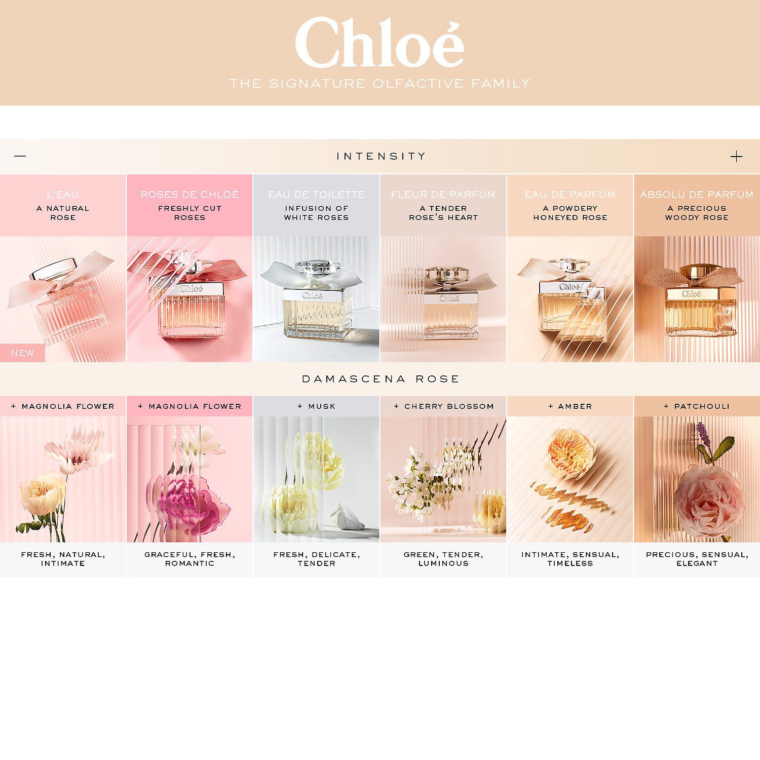 chloe fresh perfume