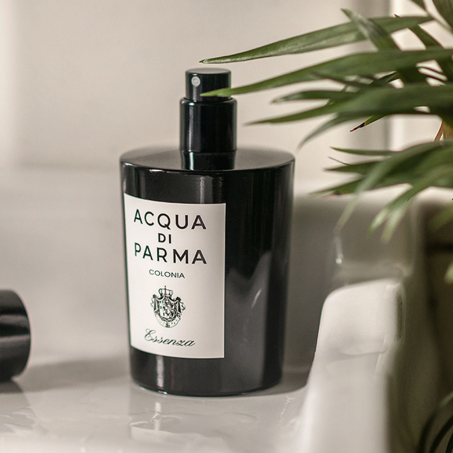 acqua di parma colonia sephora