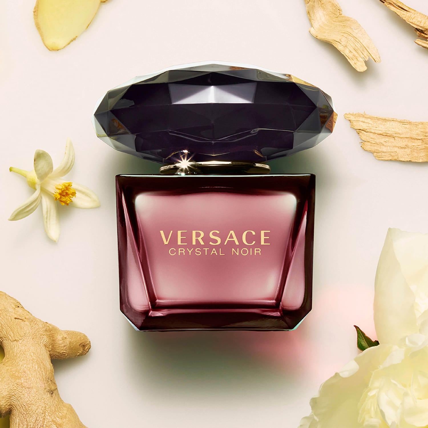 Versace Crystal Noir Price South Africa At Andy Downey Blog