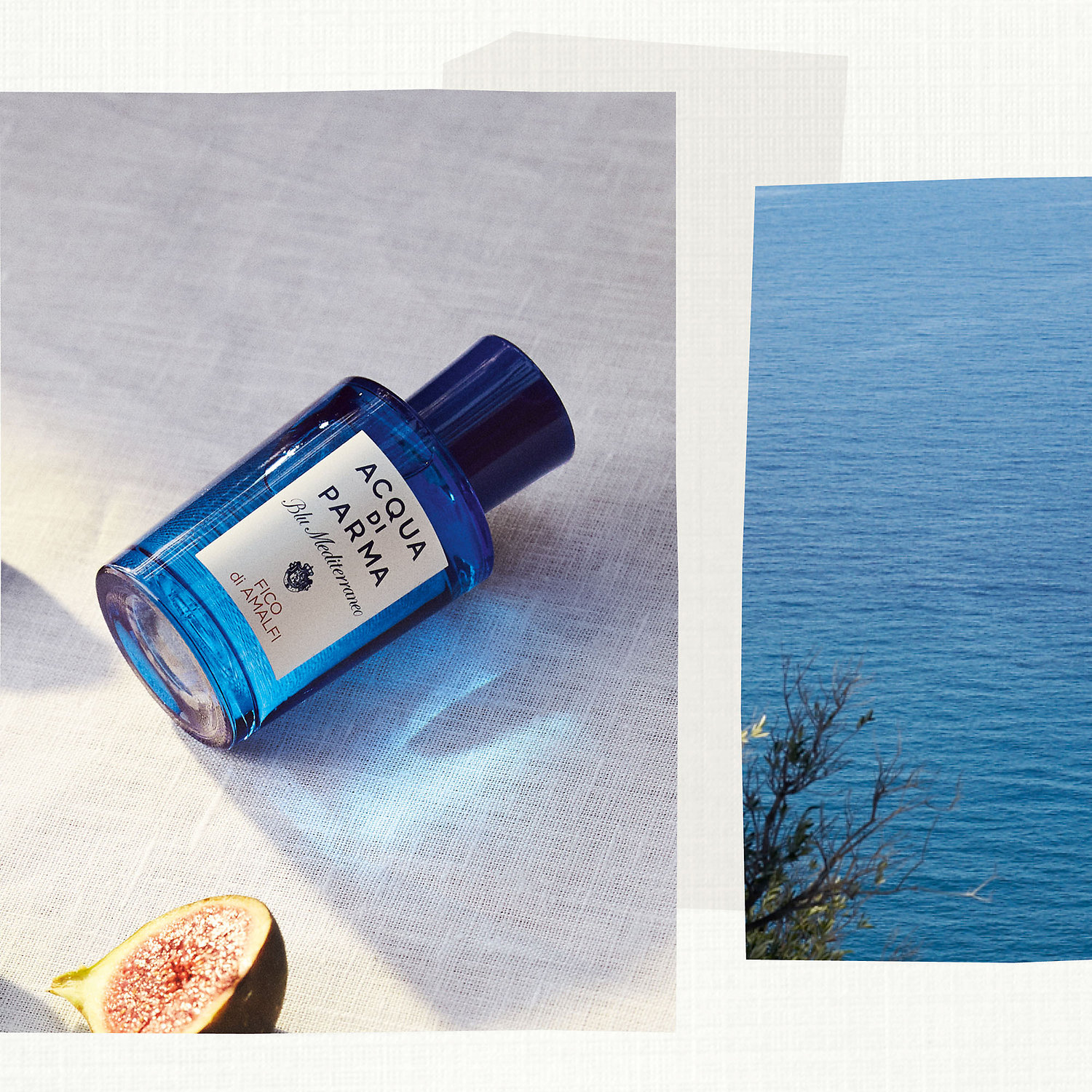 acqua di parma fico di amalfi basenotes