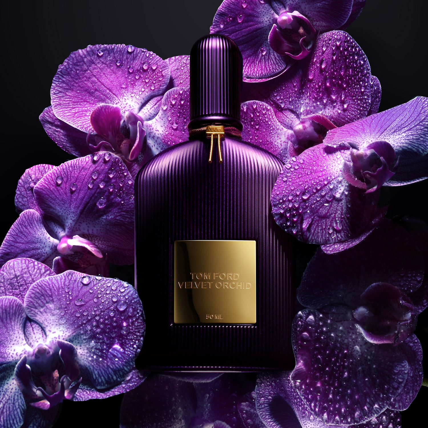 Tom Ford Black Orchid Eau De Parfum Review Man For Himself 