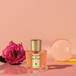 acqua di parma rosa perfume