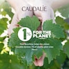 Caudalie Glycolic Peel Image 8
