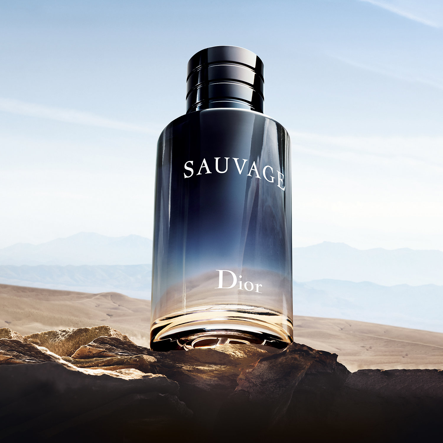 dior sauvage eau de toilette 60ml