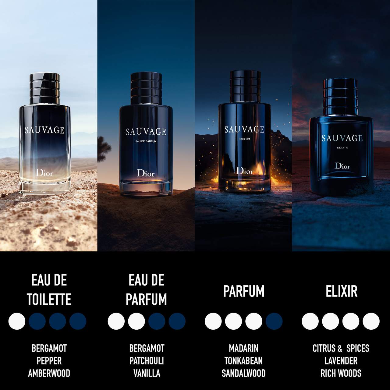 Sauvage Eau de Toilette