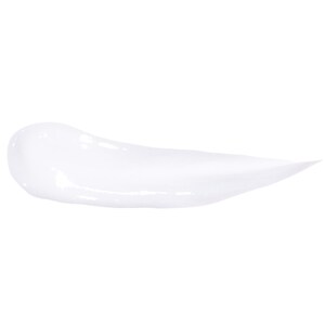 Christophe Robin Volumizing Conditioner With Rose Extracts Image 2