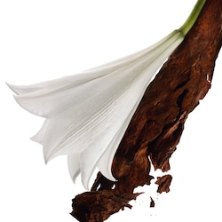 sephora ysl mon paris