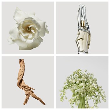 donna karan cashmere mist shoppers drug mart
