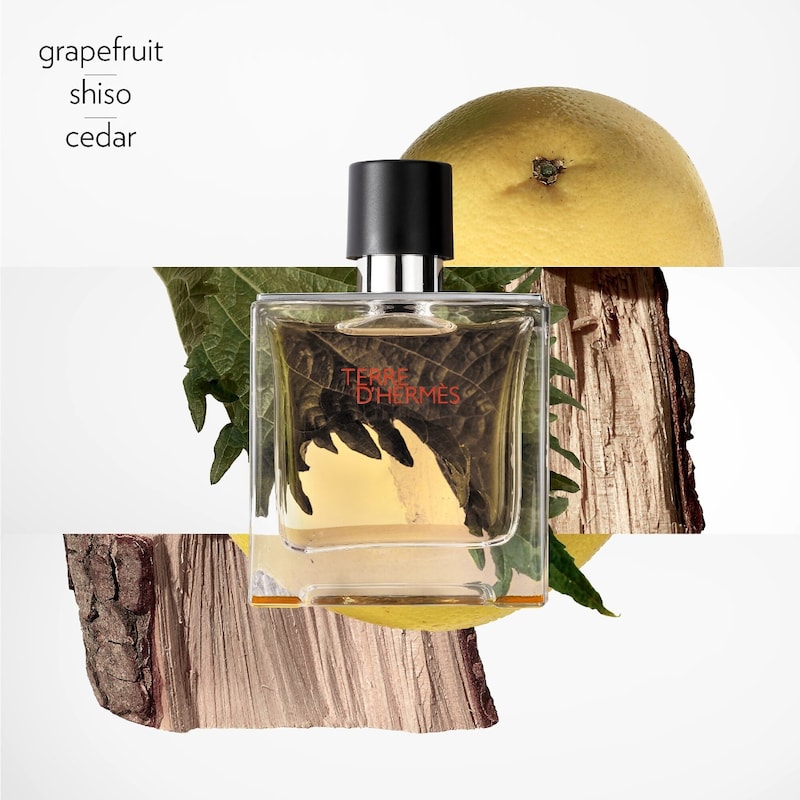 Terre d’Hermès Pure Perfume thumbnail 2