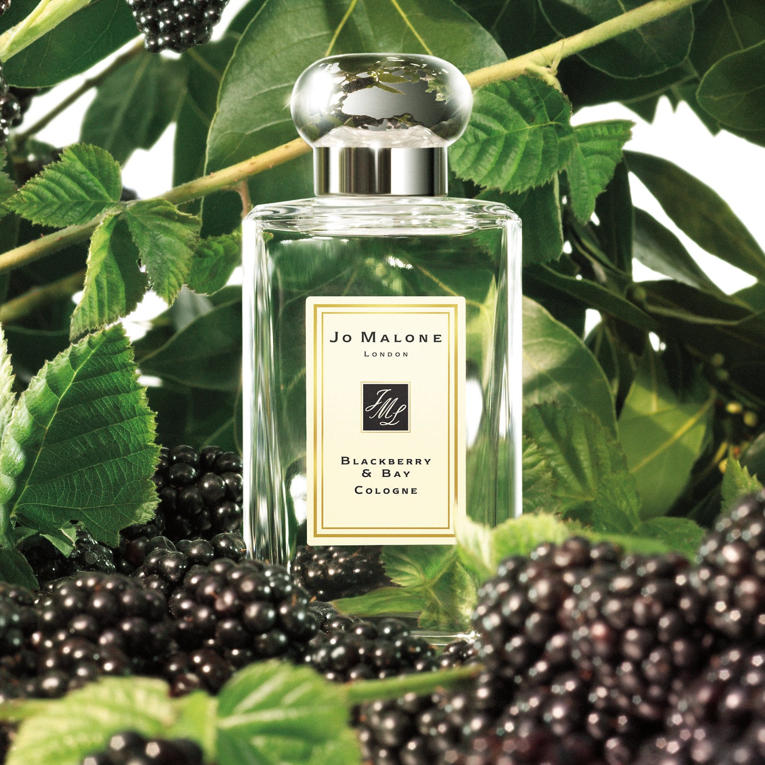 Jo Malone new no box damaged label blackberry & bay cologne 3.4 oz full ...