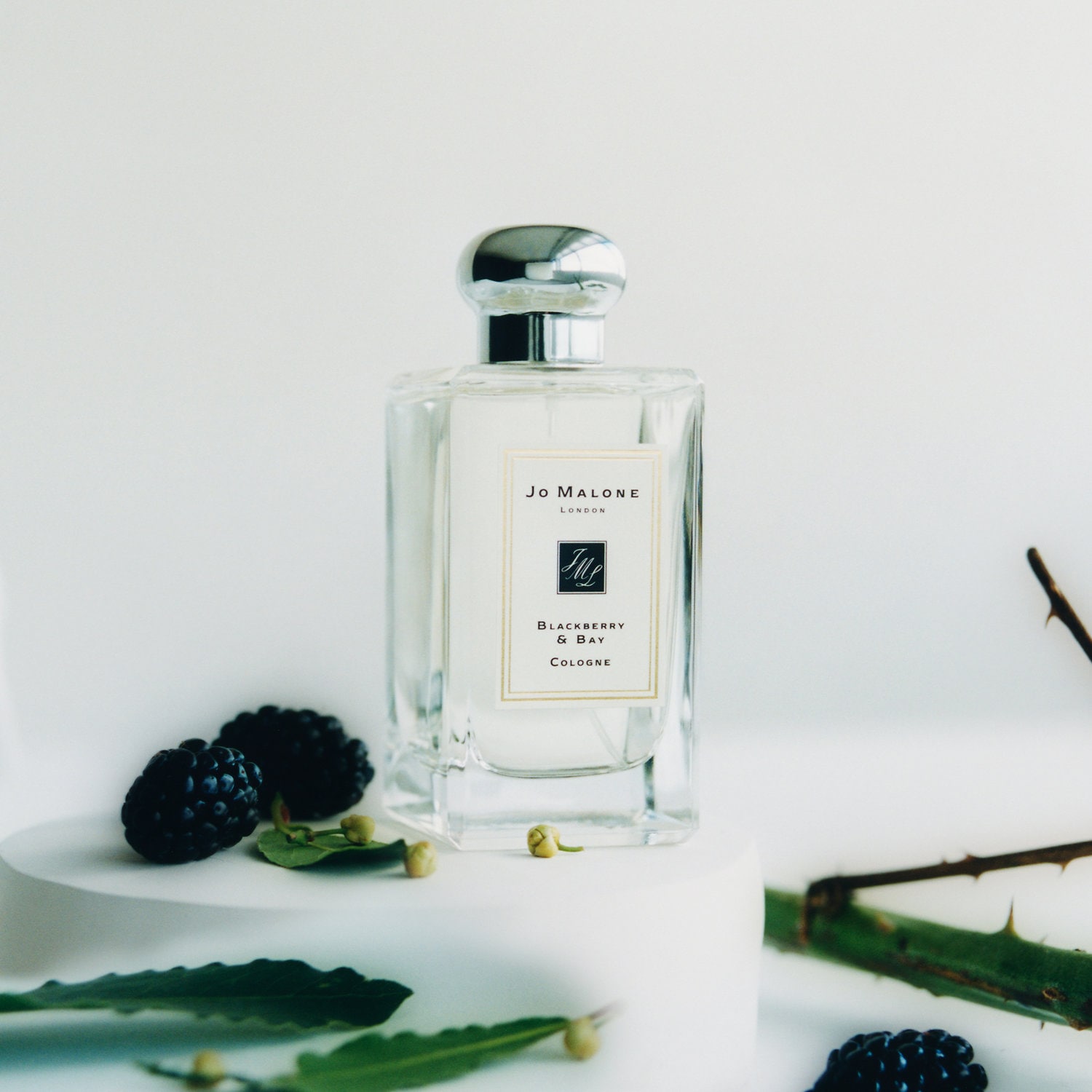 The 9 Best Jo Malone Perfume Scents Ranked and Reviewed 2022