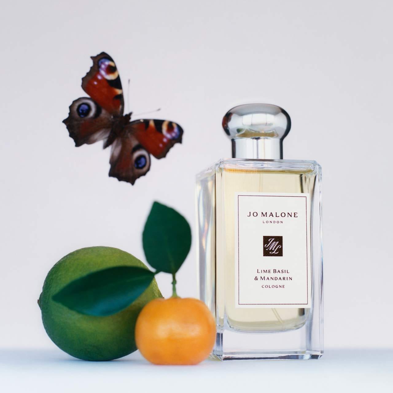 Lime Basil & Mandarin Cologne