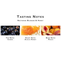 Nectarine Blossom & Honey Body & Hand Lotion