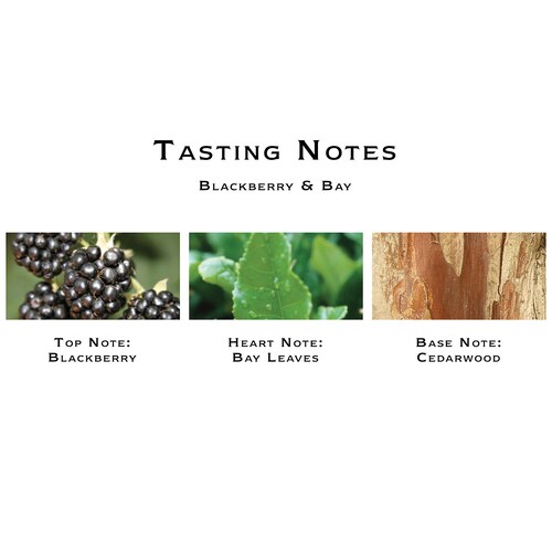 One of the key ingredients in this lotion is blackberry extract. Blackberries are known for their rich antioxidant content, which helps to combat free radicals and protect the skin from environmental damage. Antioxidants are crucial for maintaining the skin's youthful appearance and preventing signs of aging such as fine lines and wrinkles.