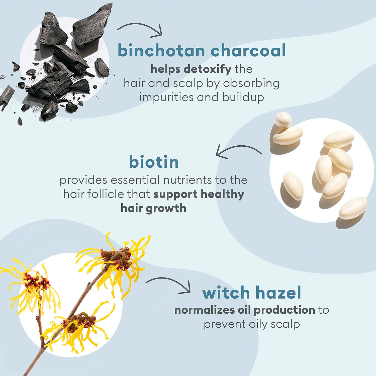 Briogeo Scalp Revival Charcoal + Biotin Dry Shampoo Mall of America®