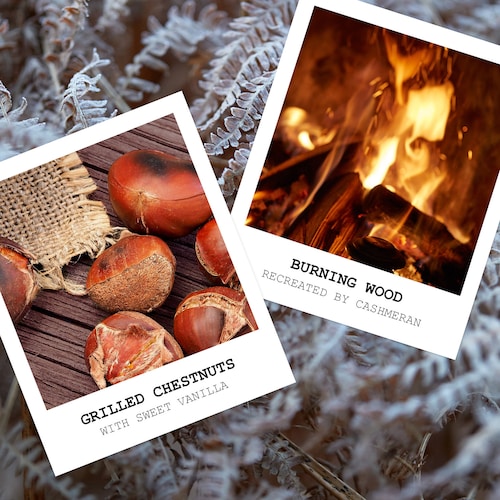 Additionally, the REPLICA brand is known for its commitment to producing high-quality products that capture the essence of memories and moments in time. Each scent from their collection is carefully crafted to tell its own unique story, giving individuals the opportunity to relive cherished memories through fragrance. The Fireplace Scented Candle is no exception, as it flawlessly captures the warmth and joy of being near a crackling fire.