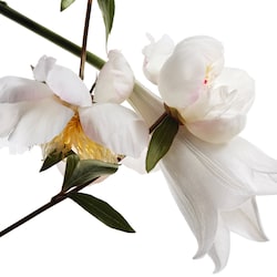 sephora ysl mon paris