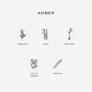 Amber Eau De Parfum Rag Bone Sephora
