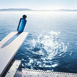 hermes parfum eau de citron noir