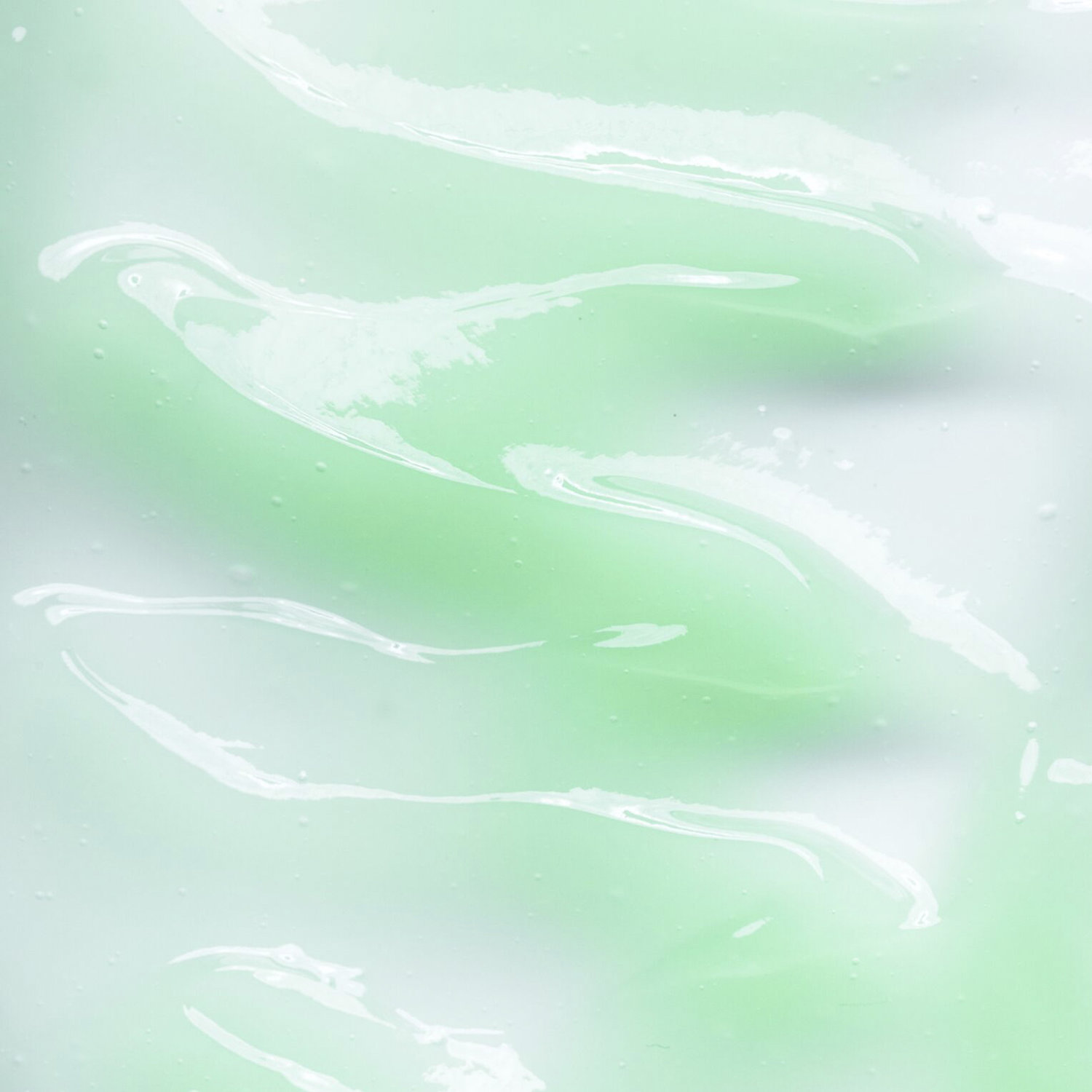 boscia cactus moisturizer