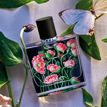 Wild poppy nest fragrances Clearance