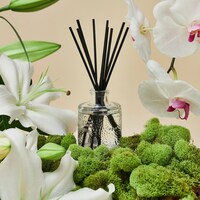 Mokara Diffuser